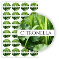 product-compare-63173978