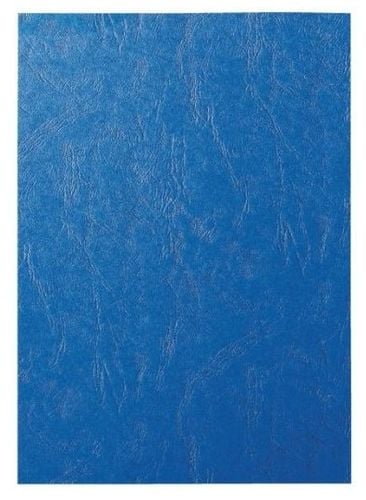 Karton Delta Skóropod. A4 Niebieski (100) 2247 na Arena.pl