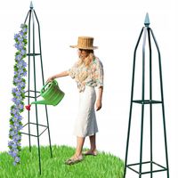 PERGOLA OGRODOWA TARASOWA METALOWA PODPORA PNĄCZY WINOGRON PIRAMIDA 200 CM