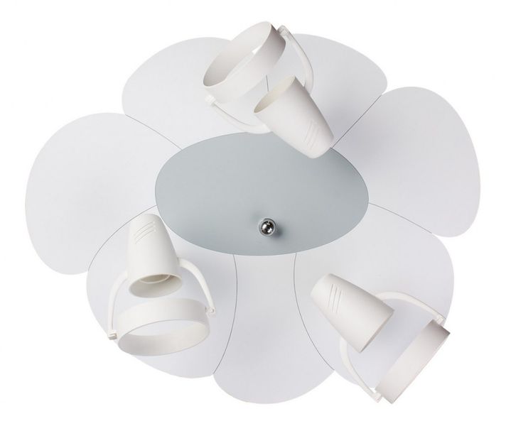 Płatek 5244412 zdjęcie 3