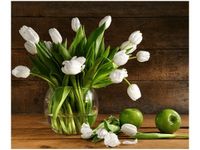 60X50CM ŚNIEŻNOBIAŁE TULIPANY OBRAZ ŚCIAN DREWNIANE