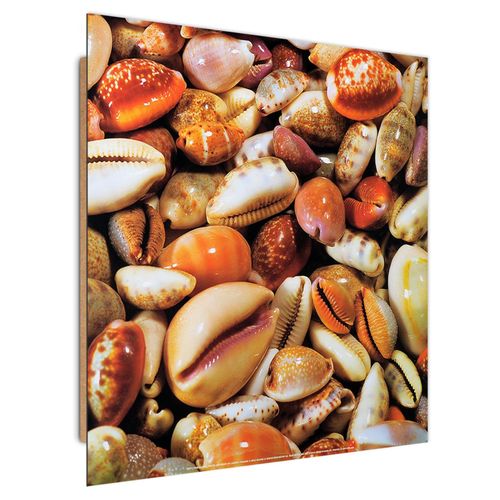 Deco Panel, Muszle 30x30 na Arena.pl