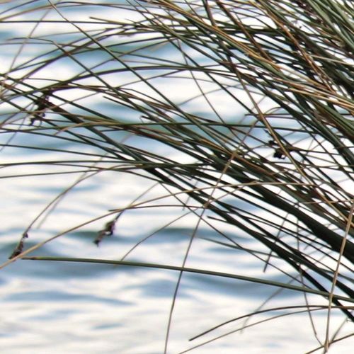 Deco Panel, Pomost na morzu 60x40 na Arena.pl