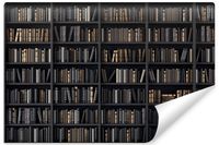Fototapeta Do Biura BIBLIOTECZKA Styl Vintage Książki 3D 90cm x 60cm