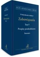 Zobowiązania. Przepisy pozakodeksowe. Komentarz. Tom V