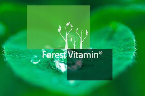 PURE CREATINE 500g KREATYNA MONOHYDRAT SIŁA MASA na Arena.pl