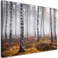 Obraz do salonu sypialni kuchni biura, Las brzozowy we mgle