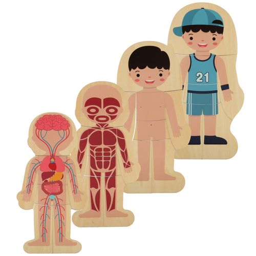 Puzzle Drewniane Warstwowe Budowa Ciała Montessori Chłopiec 28 Elementów na Arena.pl
