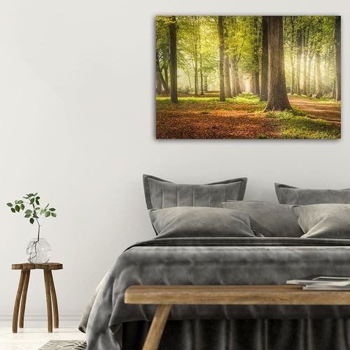 Deco Panel, Zielony las 60x40 na Arena.pl