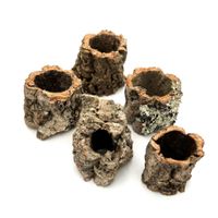 BioCork Tube XS Tuba korkowa Dębu korkowego