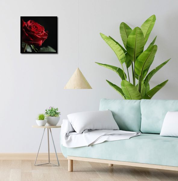 Plakat 40x40cm Róża w Półcieniu zdjęcie 4