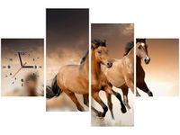 product-compare-58639246