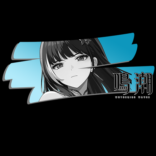 Koszulka Czarna Wuthering Waves - WYBIERZ FASON I KOLOR KOSZULKI Męska XL na Arena.pl