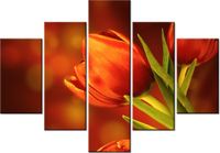 70 100CM OBRAZ 5 ELEM CZERWONE TULIPANY DRUK PŁÓTNO