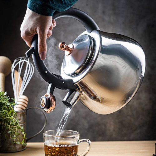 czajnik stalowy z gwizdkiem 2,8l klausberg kb-7776 na Arena.pl
