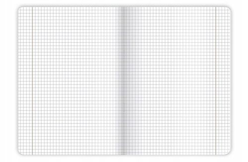 10X ZESZYT TOP 2000 A5 60 KARTEK, KRATKA +MARGINES na Arena.pl