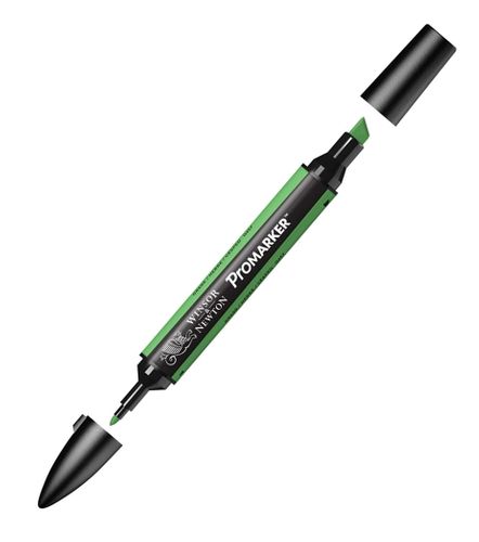 PROMARKER W&N GRASS G457 253 na Arena.pl