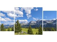 80X40CM WIDOK ALPY TAMBAKO THE JAGUAR TRÓJ OBRAZ