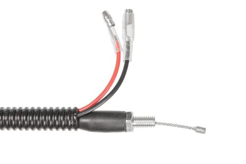 Manetka kpl. Cedrus świder CEDSW03 600143 na Arena.pl