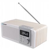 RADIO PRZENOŚNE BT/FM/MP3 MICRO SD/AUX PP14BT BLAUPUNKT