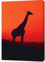 product-compare-59493085