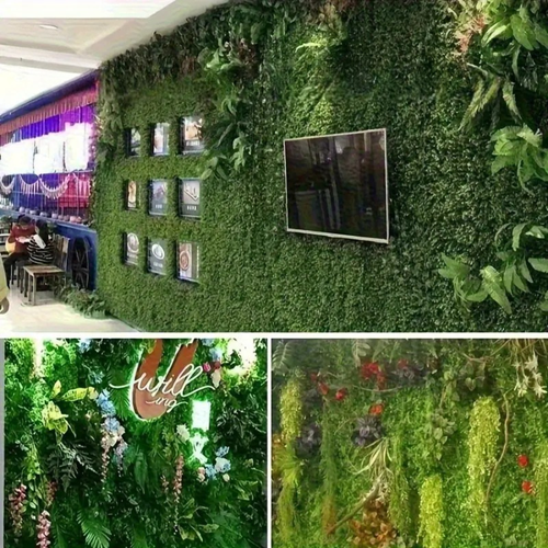 Panel ścienny - zielony bukszpan na Arena.pl