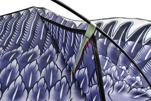 Latawiec - orzeł na Arena.pl