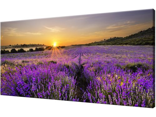 Obraz drukowany płótno 115x55cm Modne DUŻO WZORÓW na Arena.pl