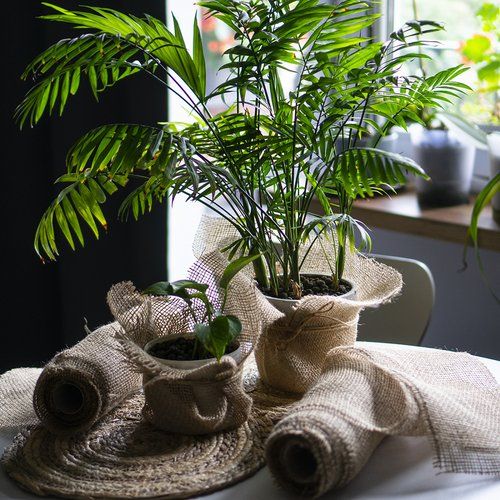 Taśma jutowa 5 cm / 8 m na Arena.pl