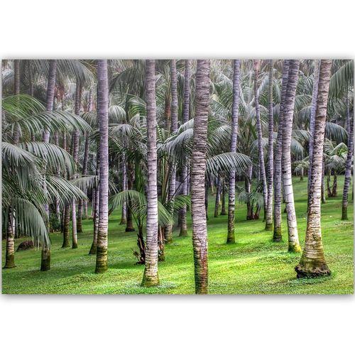 Deco Panel, Las palmowy 60x40 na Arena.pl