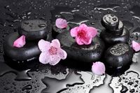 FOTOTAPETA DO SPA KWIATY RÓŻOWE KWIATY KAMIENIE