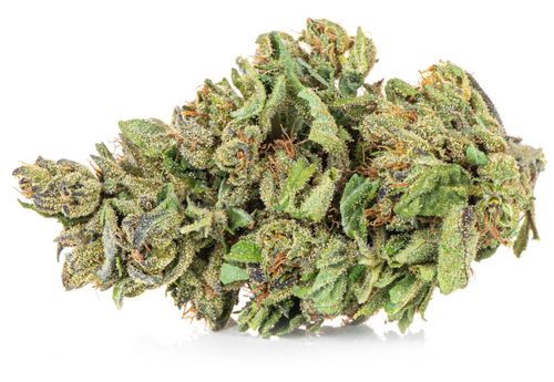 Susz konopny Amnesia Haze CBD PREMIUM 2g na Arena.pl