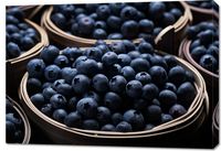 product-compare-59468689