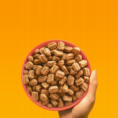 PEDIGREE sucha karma dla psa duże i średnie rasy wołowina 12 kg na Arena.pl