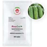 Ogórek Orfeus F1 partenokarpiczny 500 nasion bez goryczki PROFI WegAna