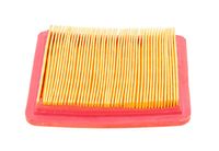 Filtr powietrza Rato silnik RV170 17150-Z030110-0000