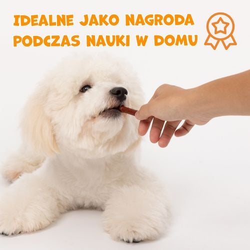 Saczki przysmaki dla psa paluszki z wołowiny 500g PAWFECT BITES na Arena.pl