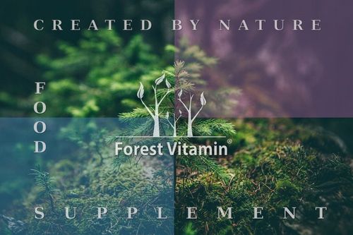 ENZYMY TRAWIENNE COMPLEX DIGEZYME 100 kaps LAKTAZA MOCNE na Arena.pl