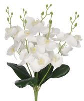 product-compare-61699651