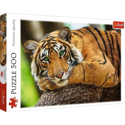 Puzzle 500 Elementów Portret Tygrysa na Arena.pl