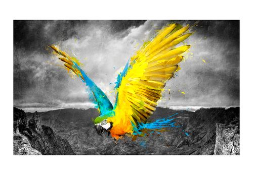 Fototapeta - Exotic parrot 450x270 na Arena.pl