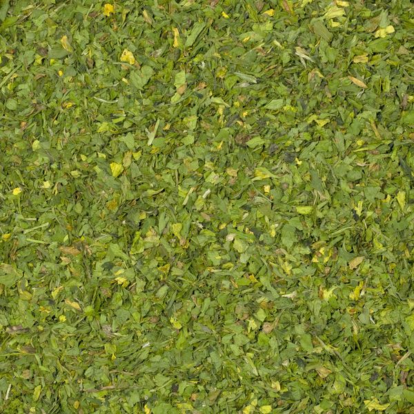 Natka pietruszki 100g zdjęcie 3