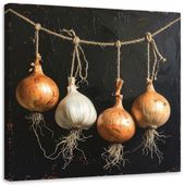 Obraz do kuchni restauracji baru jadalni, Wisząca cebula warzywa