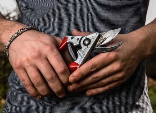 SEKATOR OGRODOWY TELESKOPOWY WYSIĘGNIK PIŁA 2W1 DO GAŁĘZI KRZEWÓW KONARÓW na Arena.pl