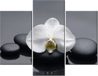 product-compare-58710567