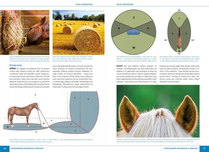 Atlas jeździectwa konie techniki jazdy porady KSIĄŻKA NA PREZENT Bojarczuk zdjęcie 2