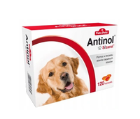 BIOVICO ANTINOL SIZAROL PIES 120 tabletek NA STAWY