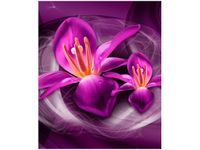 product-compare-58656865