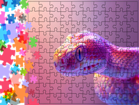 Puzzle tradycyjne Zwierzęta - Wąż