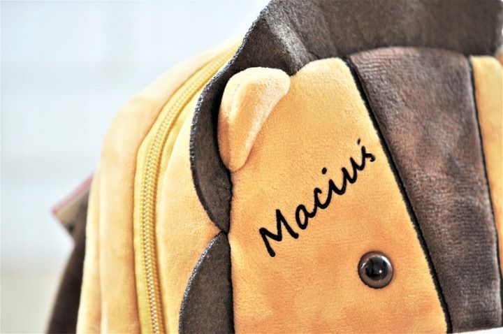 Plecak dla przedszkolaka pluszowy prezent dla chłopca 4 lata Maskotka Lew zdjęcie 3